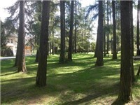 Waldspielplatz Rienzstrasse